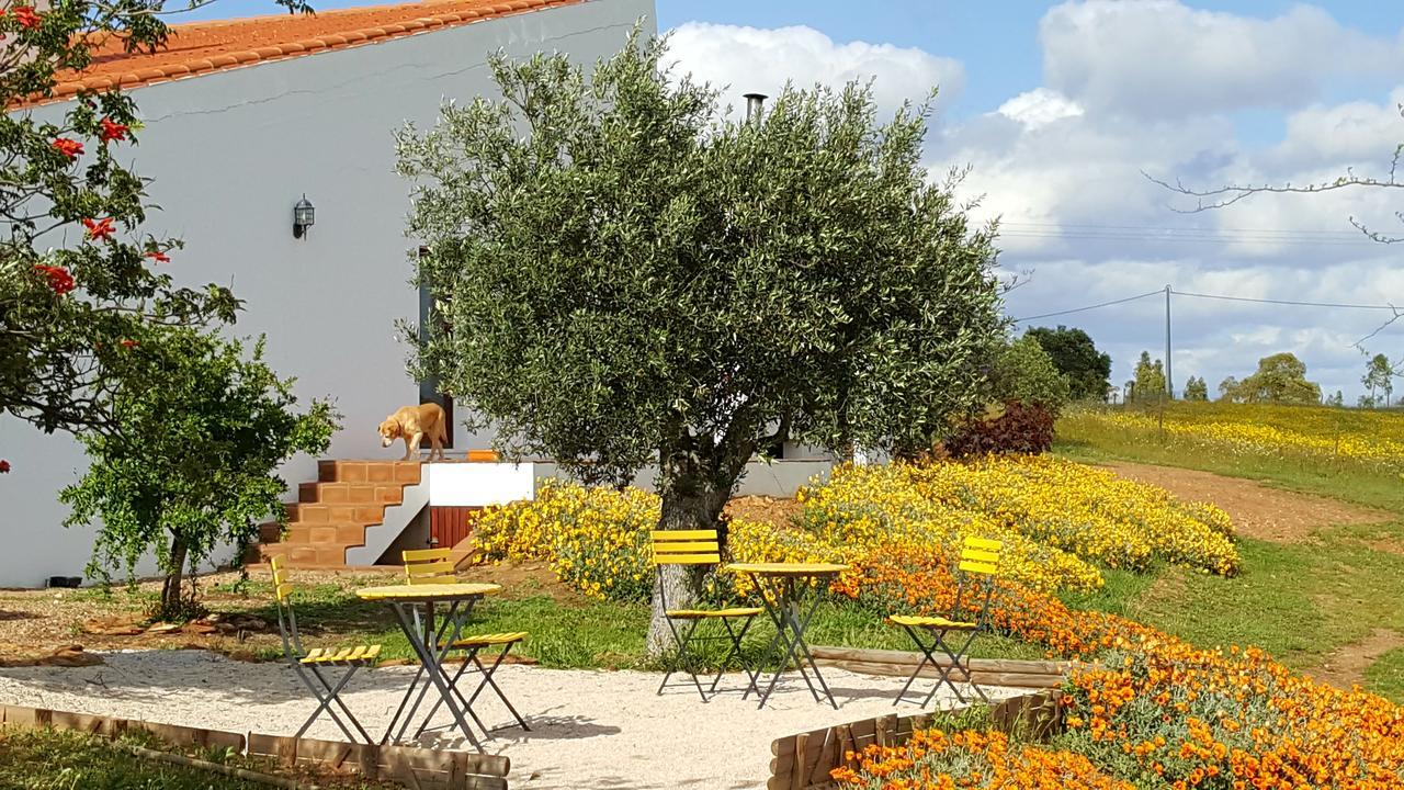 Cantar Do Grilo - Turismo Rural Serpa Exterior photo